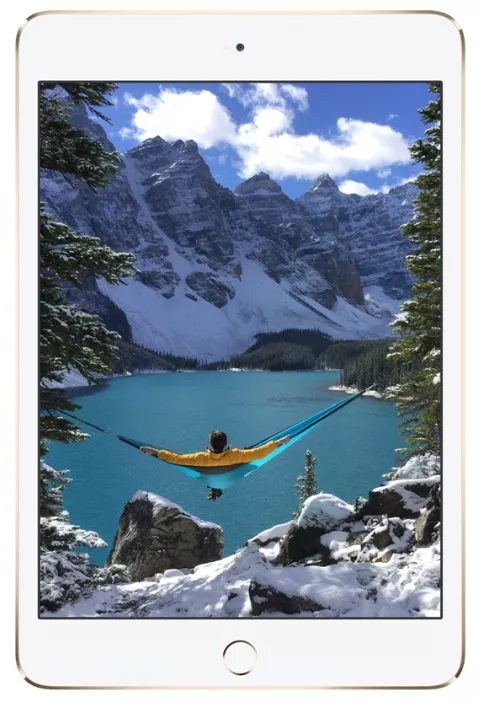 Ремонт Apple iPad mini 4 в Москве — сервис MobyDoc