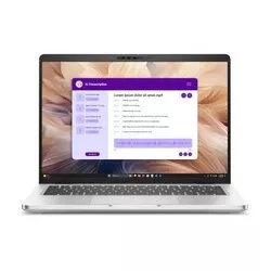 Dell Pro 16 Plus PB16250 — ремонт в сервисе MobyDoc