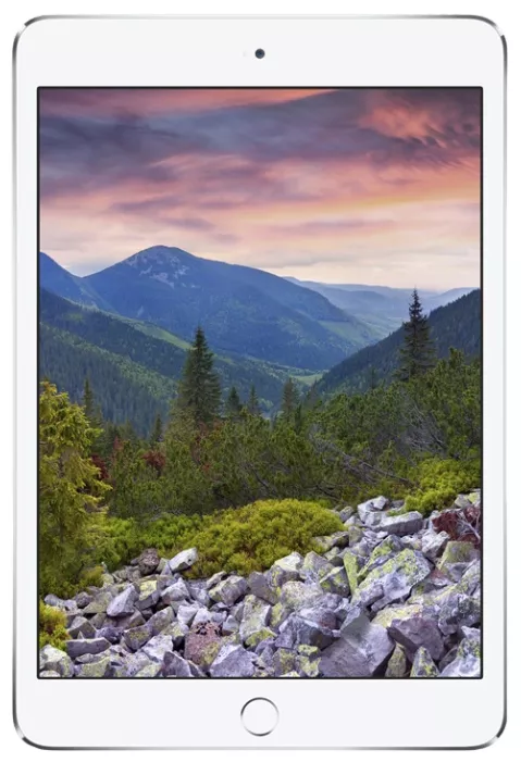Ремонт Apple iPad mini 3 в Москве — сервис MobyDoc